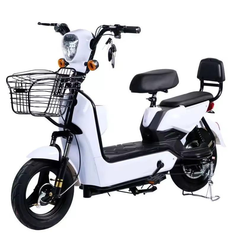 Cheap Two Wheel Adult Fat Tire E Bike 500w 48v Electric Fold