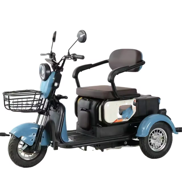 China Hot Sale Express Cargo 3 Wheel Enclosed Motorcycle Tri