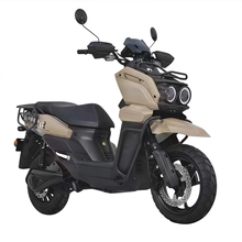 Factory Direct Sale New Design Electric Adult Tricycle With 